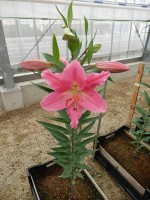 [5677 VZ W10 0999-01 No01.JPG]